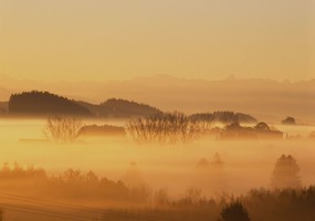 Herbststimmung